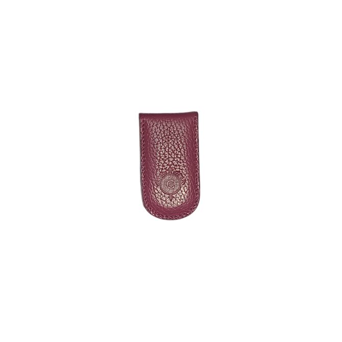 Fermasoldi magnetico