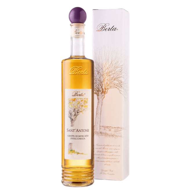 Berta Distillerie - Sant' Antone